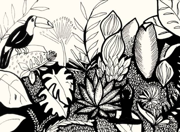 Illustration à l'encre : végétation dense et toucan